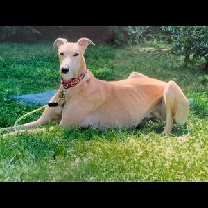 Meet your Posher, Robin